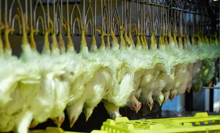 تصویر پس‌زمینه